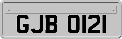 GJB0121