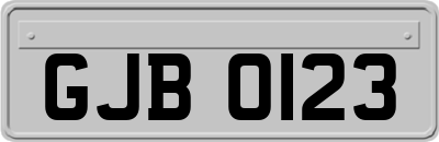 GJB0123