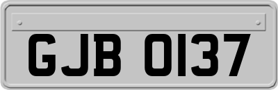 GJB0137