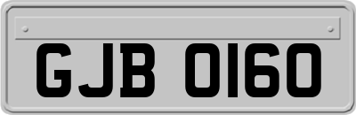 GJB0160