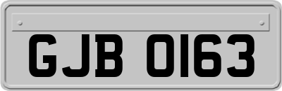 GJB0163