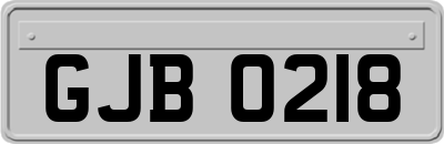 GJB0218