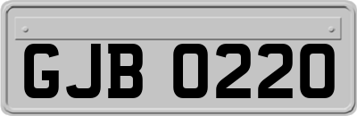 GJB0220