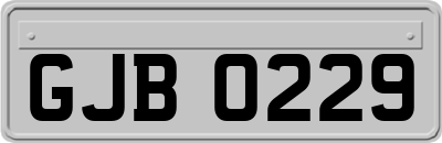 GJB0229