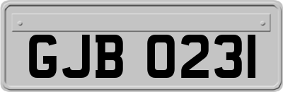 GJB0231