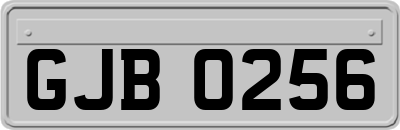 GJB0256