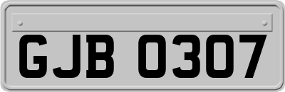 GJB0307