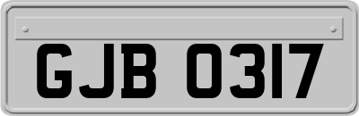 GJB0317
