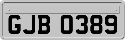 GJB0389