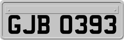 GJB0393