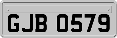 GJB0579