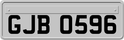 GJB0596