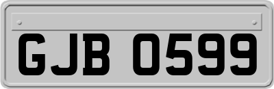 GJB0599