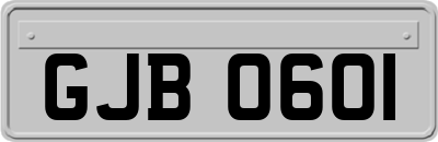 GJB0601