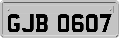 GJB0607