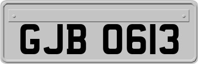 GJB0613