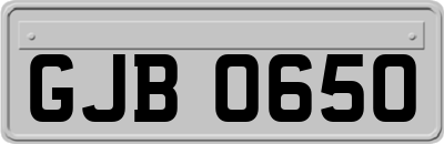 GJB0650