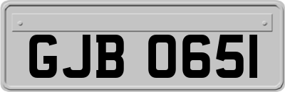 GJB0651