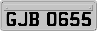 GJB0655