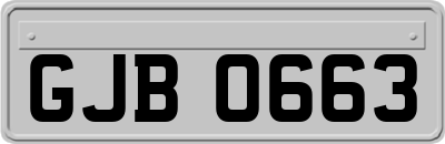 GJB0663