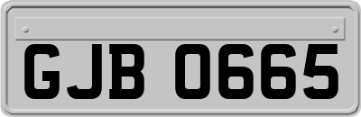GJB0665