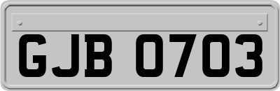GJB0703