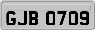 GJB0709