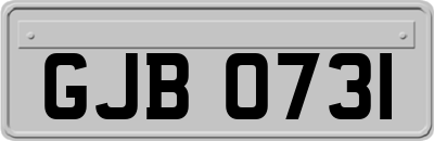 GJB0731