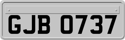 GJB0737