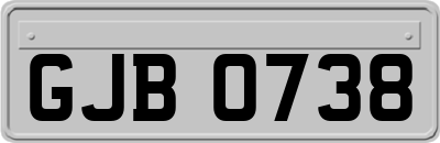 GJB0738
