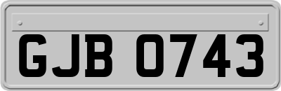 GJB0743