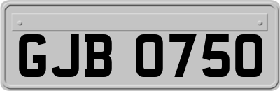 GJB0750