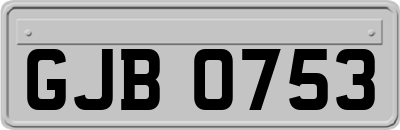 GJB0753