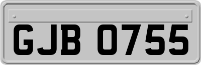 GJB0755