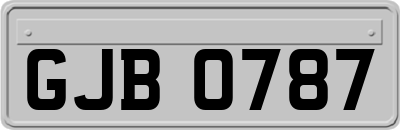 GJB0787