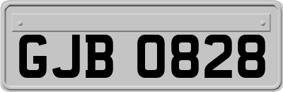GJB0828