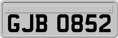 GJB0852