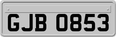 GJB0853