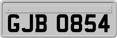 GJB0854