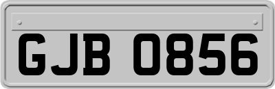 GJB0856