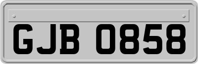 GJB0858