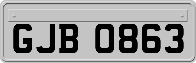 GJB0863