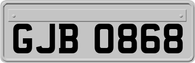 GJB0868