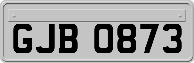 GJB0873