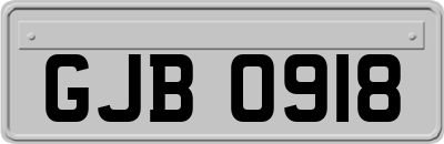 GJB0918