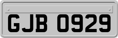 GJB0929
