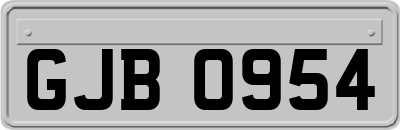 GJB0954