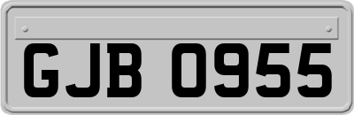 GJB0955