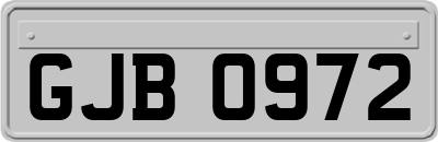 GJB0972