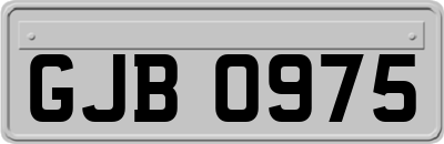 GJB0975